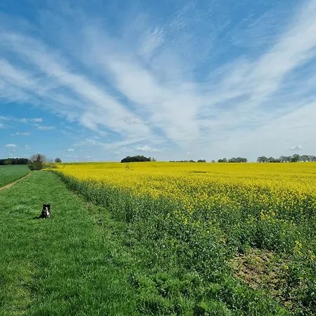 Ferienwohnung Pieck Apartman Raduhn