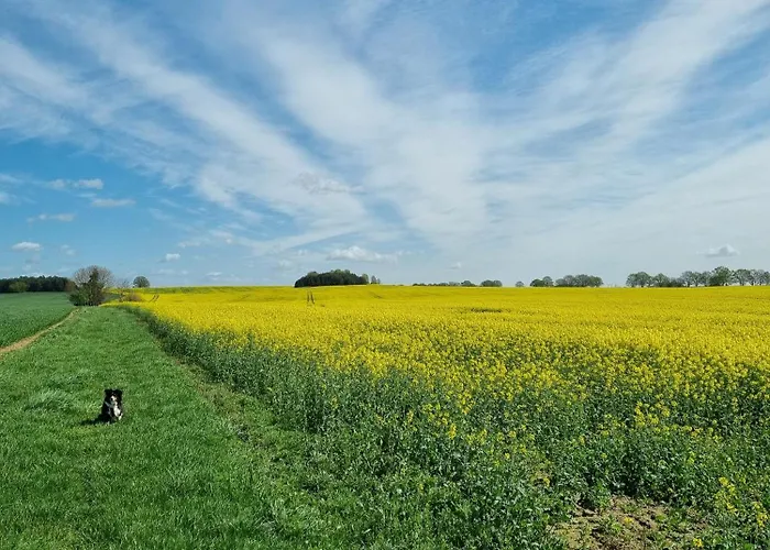 Ferienwohnung Pieck Apartman Raduhn